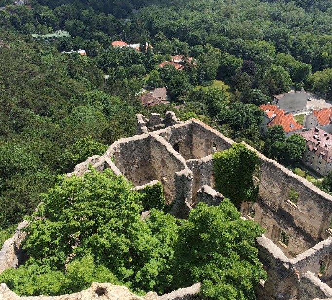 Burgruine Rauheneck, Lower Austria, Austria